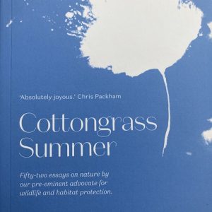 Cottongrass Summer