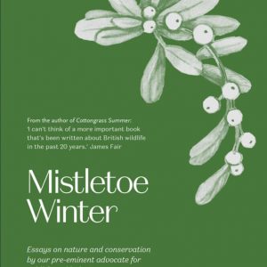 Mistletoe Winter