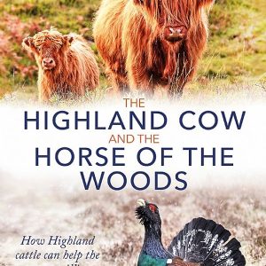 The Highland Cow and the Horse of the Woods